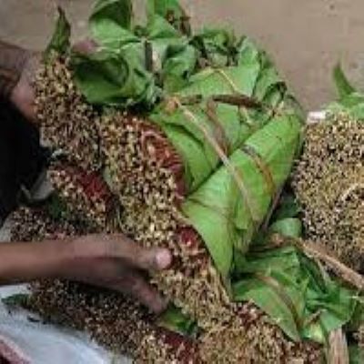 You are currently viewing Somali’s new President lifts ban on Kenyan Miraa